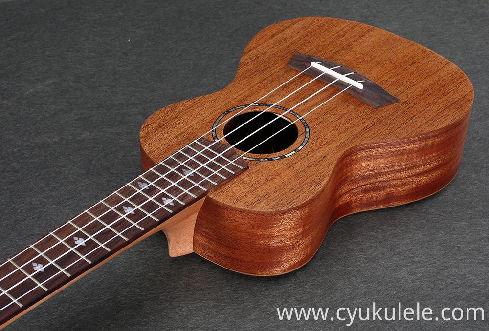 ukulele19